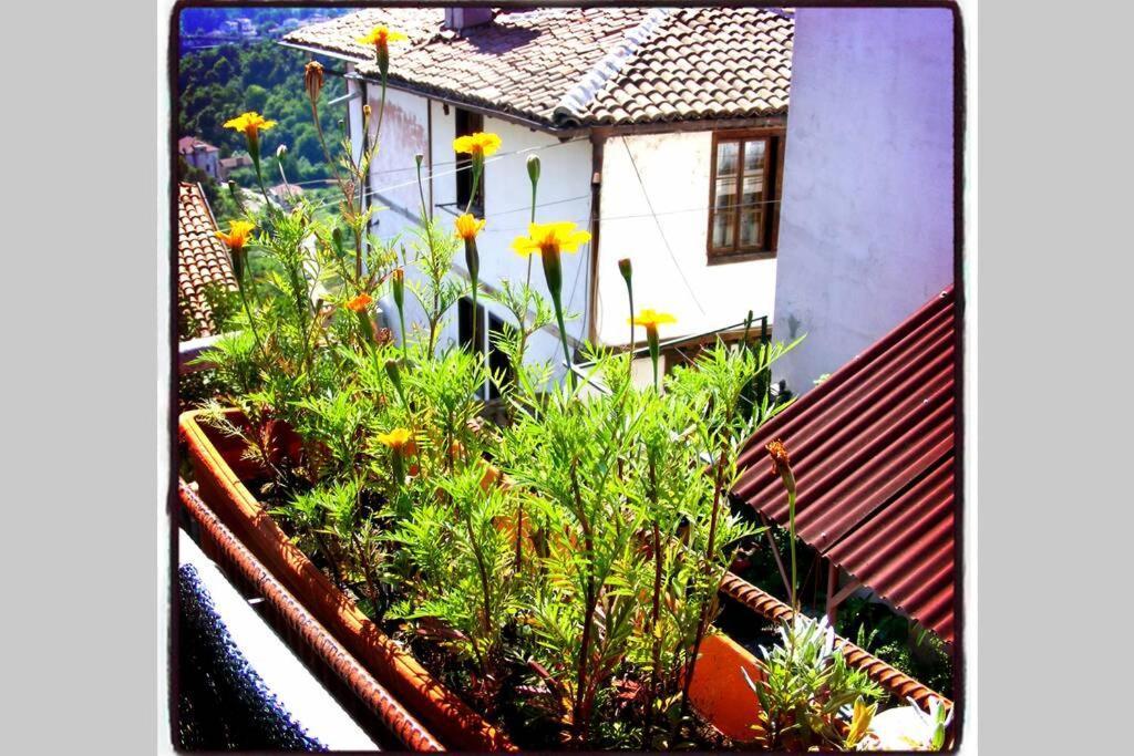 Authentic Guest Stay In The Heart Of Veliko Tarnovo Студио С Изглед Към Царевец Extérieur photo